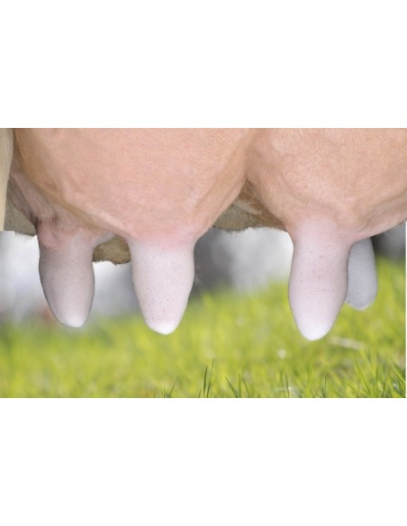 Prefoam Plus