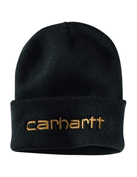 Knit Insulated Logo Graphic Cuffed Beanie