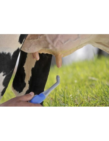 QUICK SPRAY
