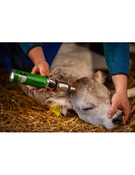 Decornatore a gas per bovini ALIOS - ruegruet.ch