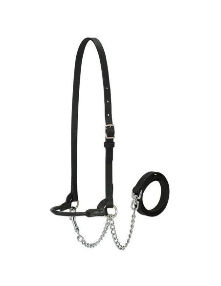 Licol de présentation modèle Dairy Weaver Slimline