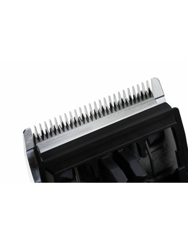 Moser Tête de coupe - Ruegruet Shop