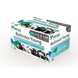 Bolitrace Young /...
