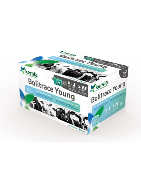 Kersia Bolitrace Young - Ruegruet Shop