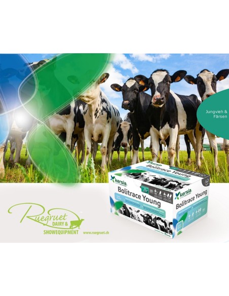 Kersia Bolitrace Young - Ruegruet Shop