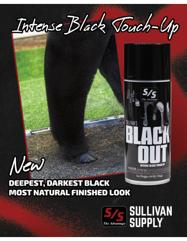 Sullivan's Black Out - Ruegruet Shop