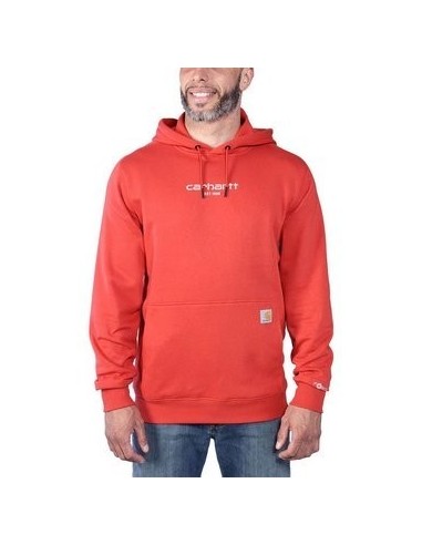 CARHARTT LIGHTWEIGHT LOGO GRAPHIC SWEATSHIRT Red Barn - Ruegruet Shop