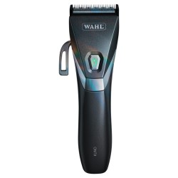 Wahl Kuno