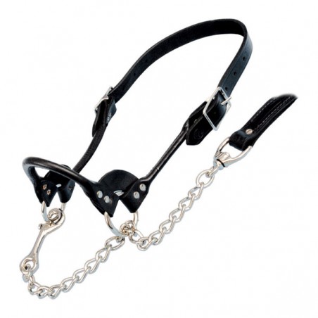 Weaver Leather Rinder-Halfter - Robustes Nylon-Halfter Für Stall Und Weide