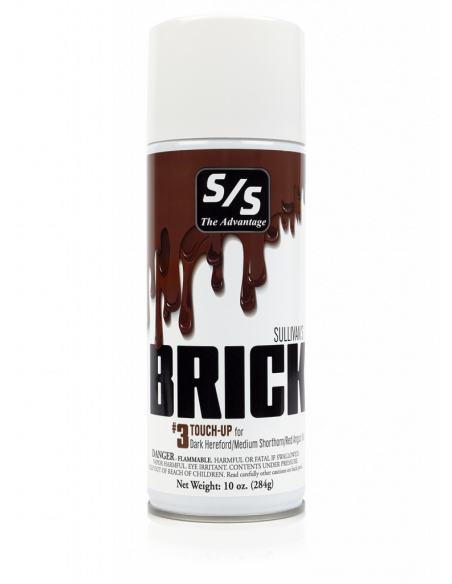 Sullivan's Brick Touch-UP