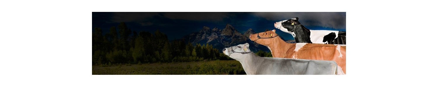 Bestiame e Zootecnica - Online Store Agricoltura Ruegruet