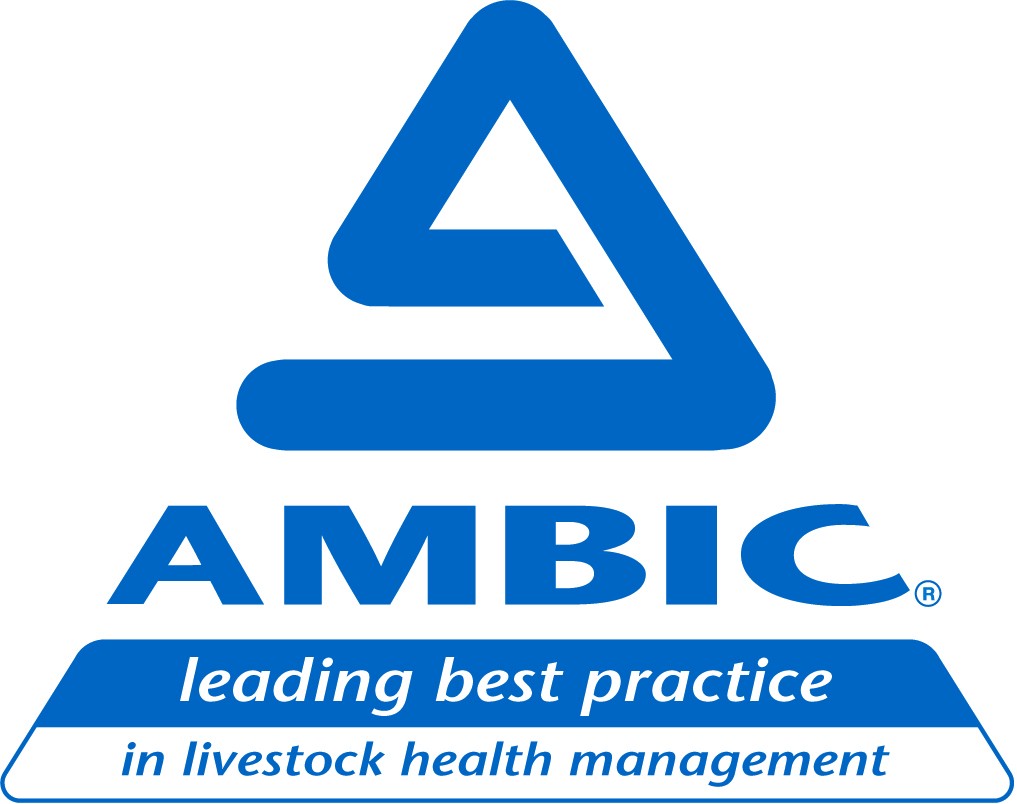 Ambic Equipment Limited